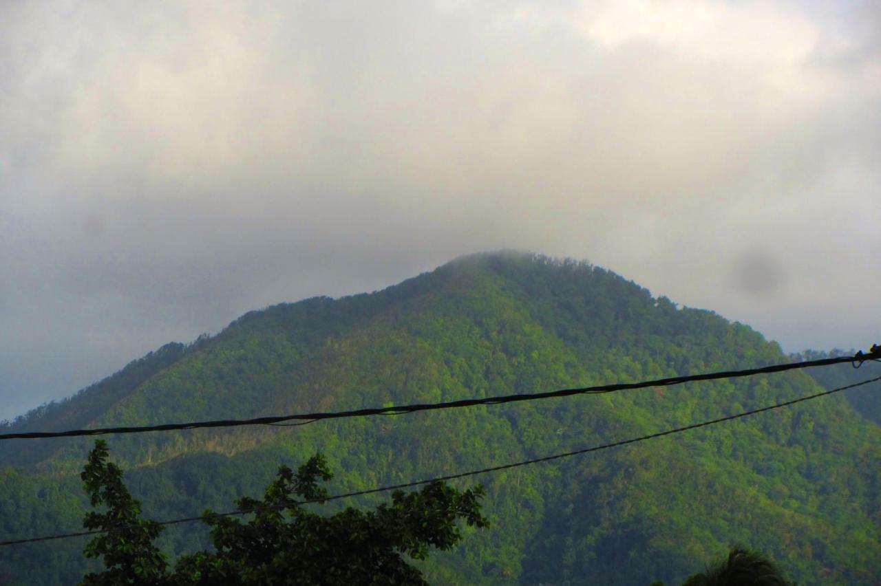 Or Bleu-Bungalow Volcan Soufriere-Vue Sur Mer Сент-Клод Екстер'єр фото