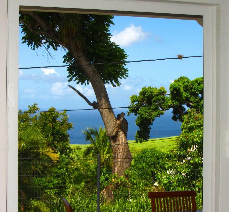 Or Bleu-Bungalow Volcan Soufriere-Vue Sur Mer Сент-Клод Екстер'єр фото